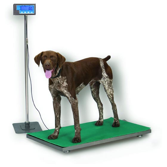 Veterinary Scale