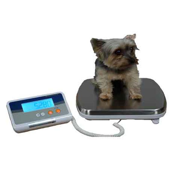 Veterinary scale TM902 Veterinary Scale