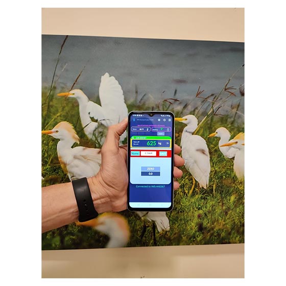 Livestock Scale Kit Wireless Livestock Scale Kit Wireless Livestock scale kit Cattle Hog scale kit